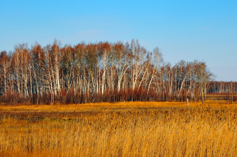 Kyrgyzstan, Asie Centrale